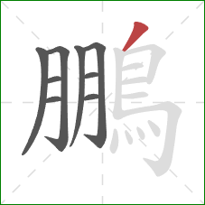 鵬的笔顺第9画:撇 鵬的笔顺第9画:撇