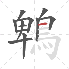 鵯的笔顺第12画:横 鵯的笔顺第12画:横