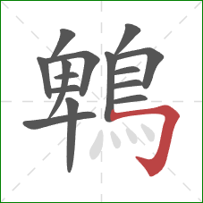 鵯的笔顺第15画:横折钩 鵯的笔顺第15画:横折钩