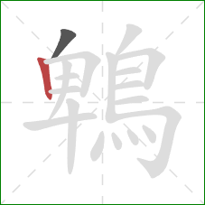 鵯的笔顺第2画:竖 鵯的笔顺第2画:竖