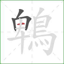 鵯的笔顺第4画:横 鵯的笔顺第4画:横