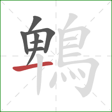 鵯的笔顺第7画:横 鵯的笔顺第7画:横