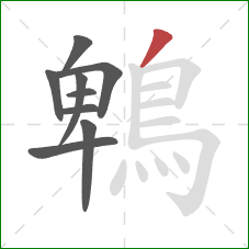 鵯的笔顺第9画:撇 鵯的笔顺第9画:撇