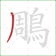 鵰的笔顺第1画:撇 鵰的笔顺第1画:撇