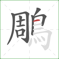 鵰的笔顺第12画:横 鵰的笔顺第12画:横