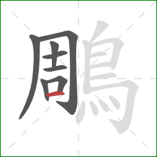 鵰的笔顺第8画:横 鵰的笔顺第8画:横