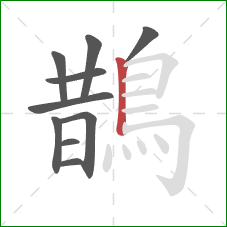 鵲的笔顺第10画:竖 鵲的笔顺第10画:竖