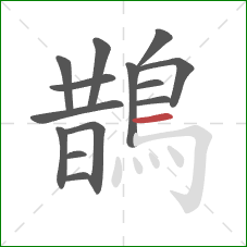 鵲的笔顺第14画:横 鵲的笔顺第14画:横