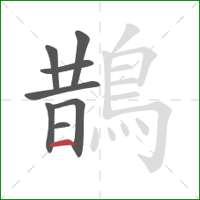 鵲的笔顺第8画:横 鵲的笔顺第8画:横