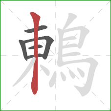 鶇的笔顺第6画：竖