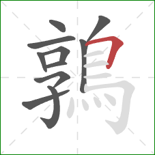 鶉的笔顺第11画:横折 鶉的笔顺第11画:横折