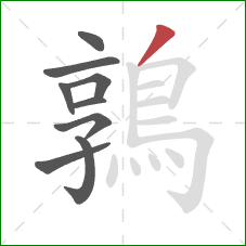 鶉的笔顺第9画:撇 鶉的笔顺第9画:撇