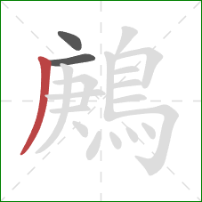 鶊的笔顺第3画:撇 鶊的笔顺第3画:撇