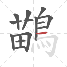 鶓的笔顺第15画:横 鶓的笔顺第15画:横