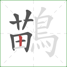 鶓的笔顺第8画:竖 鶓的笔顺第8画:竖
