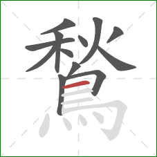 鶖的笔顺第13画：横