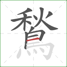 鶖的笔顺第14画：横