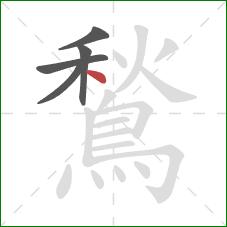 鶖的笔顺第5画：点