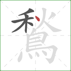 鶖的笔顺第6画：点