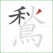 鶖的笔顺第7画：撇