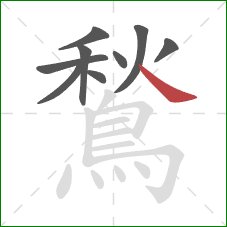 鶖的笔顺第9画：捺