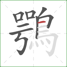 鶚的笔顺第13画：横