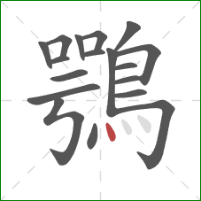 鶚的笔顺第18画：点