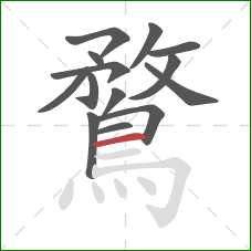 鶩的笔顺第14画：横