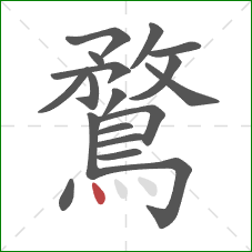 鶩的笔顺第18画：点