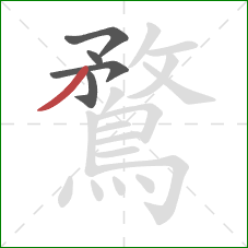 鶩的笔顺第5画：撇