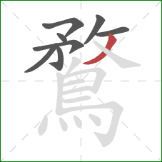 鶩的笔顺第8画：撇