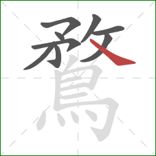 鶩的笔顺第9画：捺