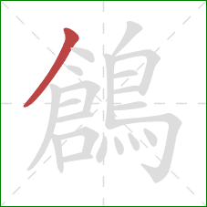 鶬的笔顺第1画:撇 鶬的笔顺第1画:撇