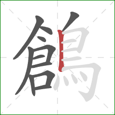 鶬的笔顺第12画:竖 鶬的笔顺第12画:竖