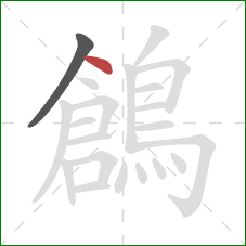 鶬的笔顺第2画:点 鶬的笔顺第2画:点