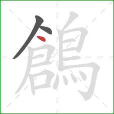 鶬的笔顺第3画:点 鶬的笔顺第3画:点