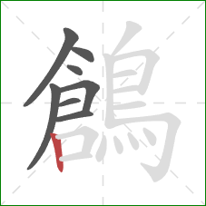 鶬的笔顺第8画:竖 鶬的笔顺第8画:竖