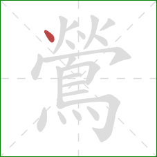 鶯的笔顺第1画:点 鶯的笔顺第1画:点