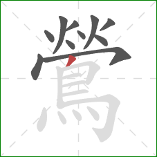 鶯的笔顺第11画:撇 鶯的笔顺第11画:撇