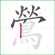 鶯的笔顺第12画:竖 鶯的笔顺第12画:竖