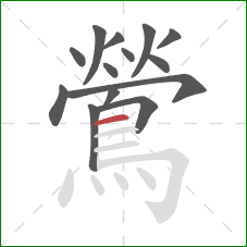 鶯的笔顺第14画:横 鶯的笔顺第14画:横