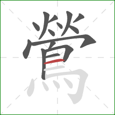 鶯的笔顺第15画:横 鶯的笔顺第15画:横