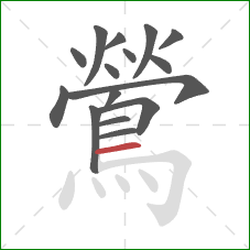 鶯的笔顺第16画:横 鶯的笔顺第16画:横