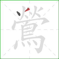 鶯的笔顺第2画:撇 鶯的笔顺第2画:撇