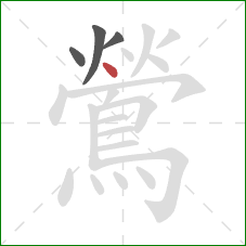 鶯的笔顺第4画:点 鶯的笔顺第4画:点