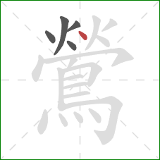 鶯的笔顺第5画:点 鶯的笔顺第5画:点