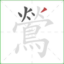 鶯的笔顺第6画:撇 鶯的笔顺第6画:撇