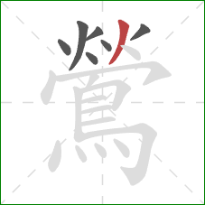 鶯的笔顺第7画:撇 鶯的笔顺第7画:撇