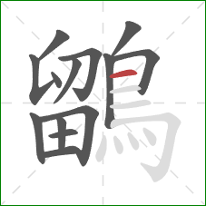 鶹的笔顺第14画:横 鶹的笔顺第14画:横