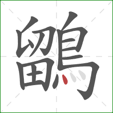 鶹的笔顺第19画:点 鶹的笔顺第19画:点